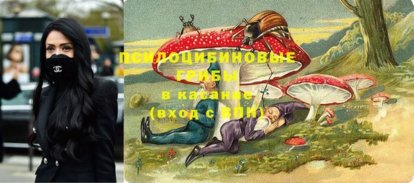 дживик Богданович