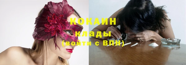 дживик Богданович