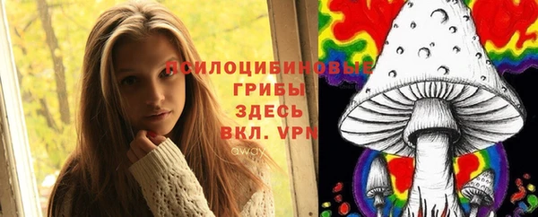 соль курить ск Богородск